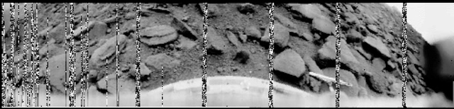 venus surface