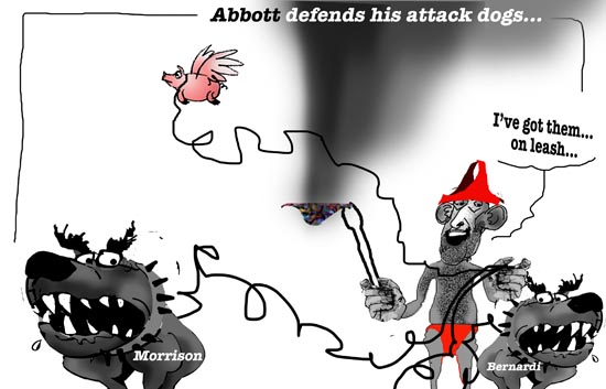 abbotsdogs
