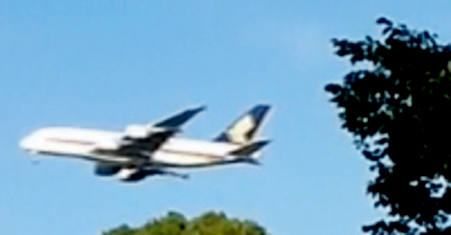 plane sydney