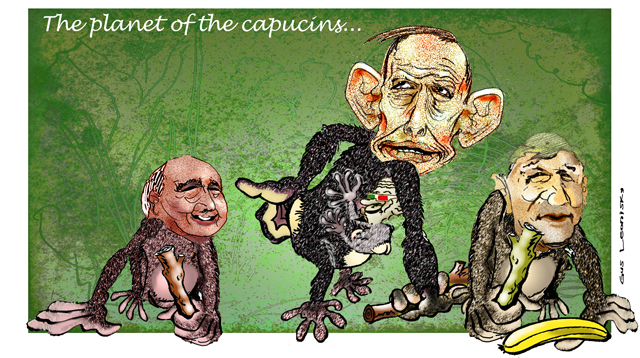 capucins