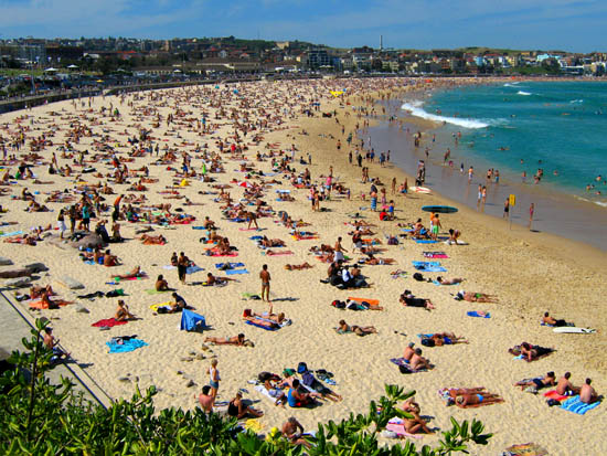 bondi beach