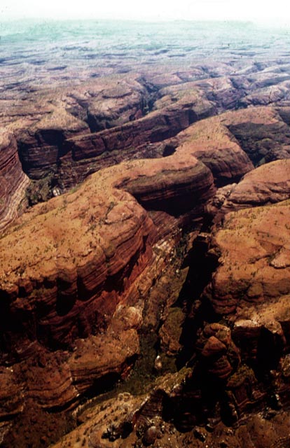 bungles01