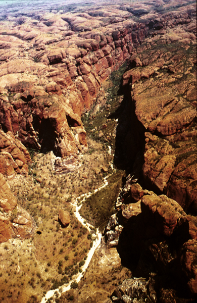 bungles02