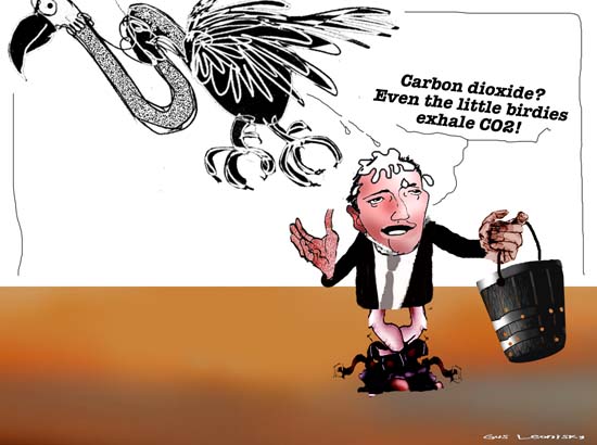 birdies and barnaby...