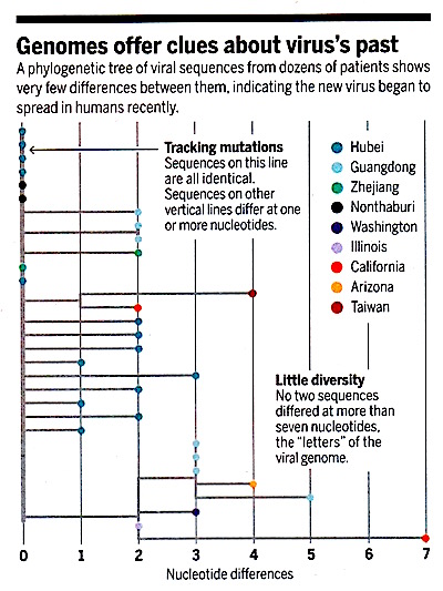 chart virus