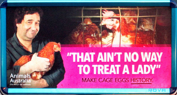 caged eggs...