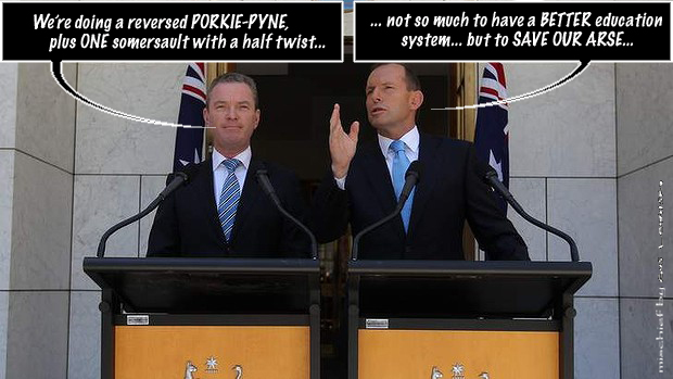 PORKIE-PYNE
