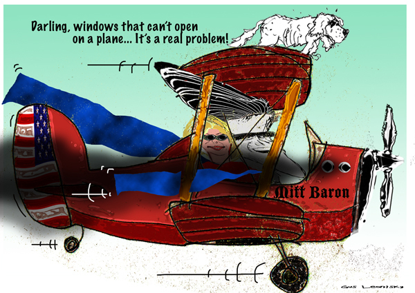 plane mitt