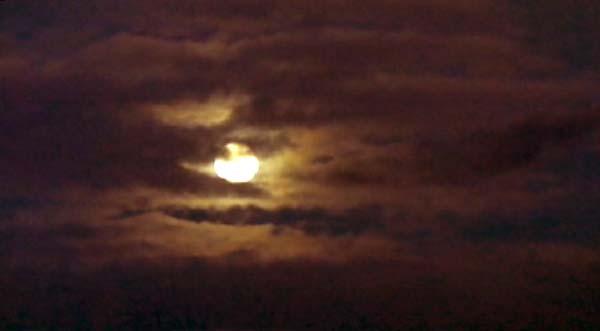 moonlight