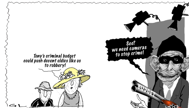 criminal budget