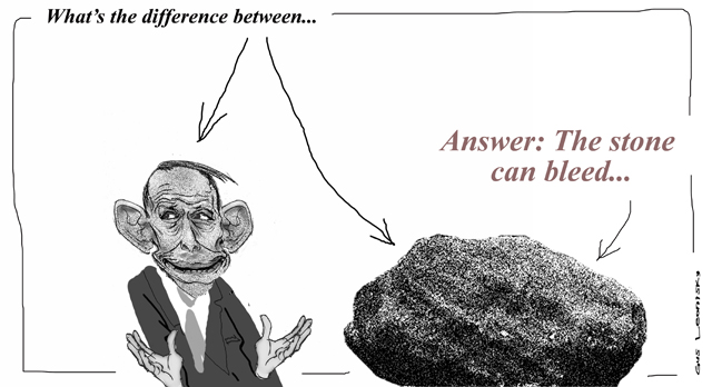 stone age