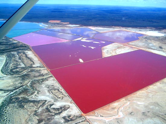 industrialponds